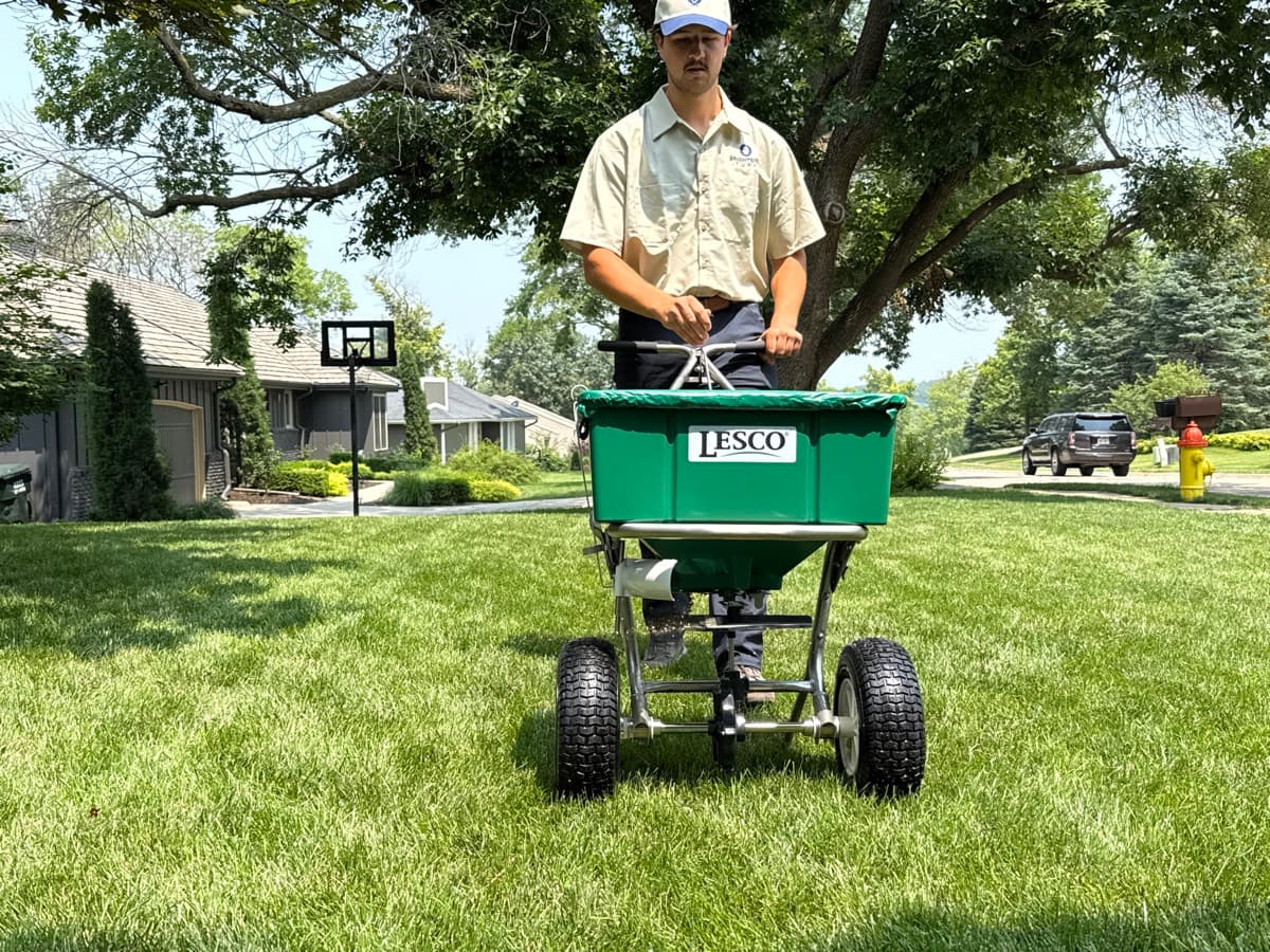 Weed-free lawn results