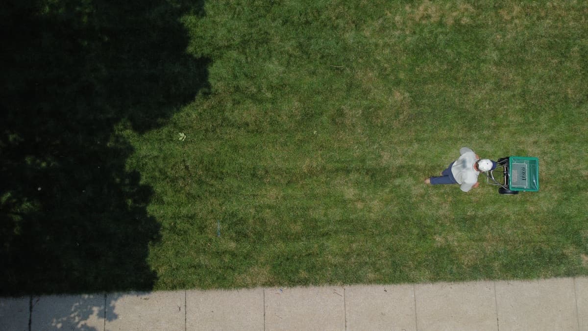 Professional weed control treatment on Omaha lawn