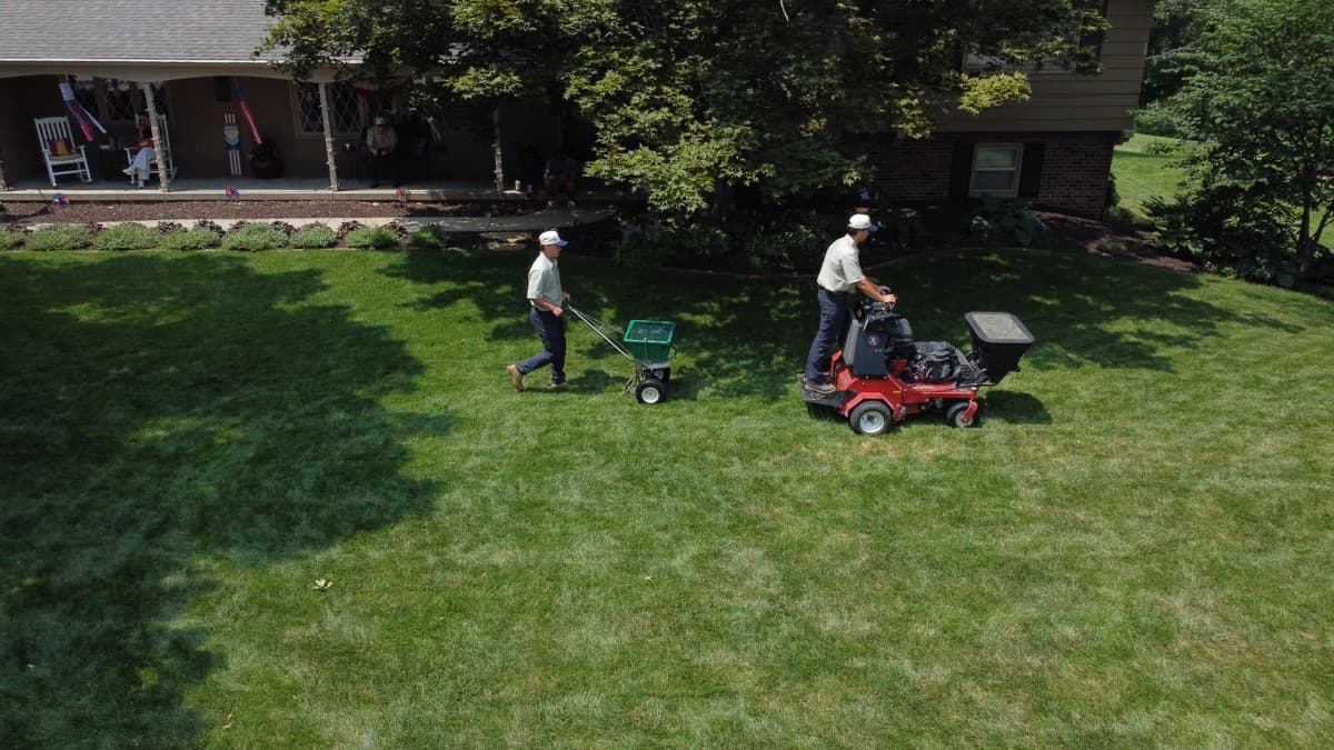 Brightside lawn care result