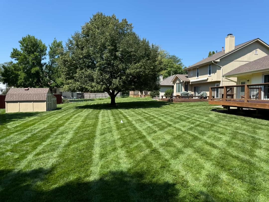 What Omaha Homeowners Get Wrong About Their First Real Mow