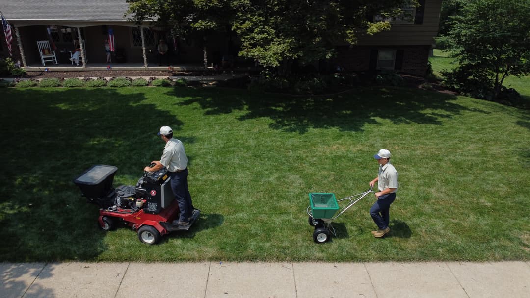 What Omaha Homeowners Should Look for When Choosing a Lawn Care Provider for Spring