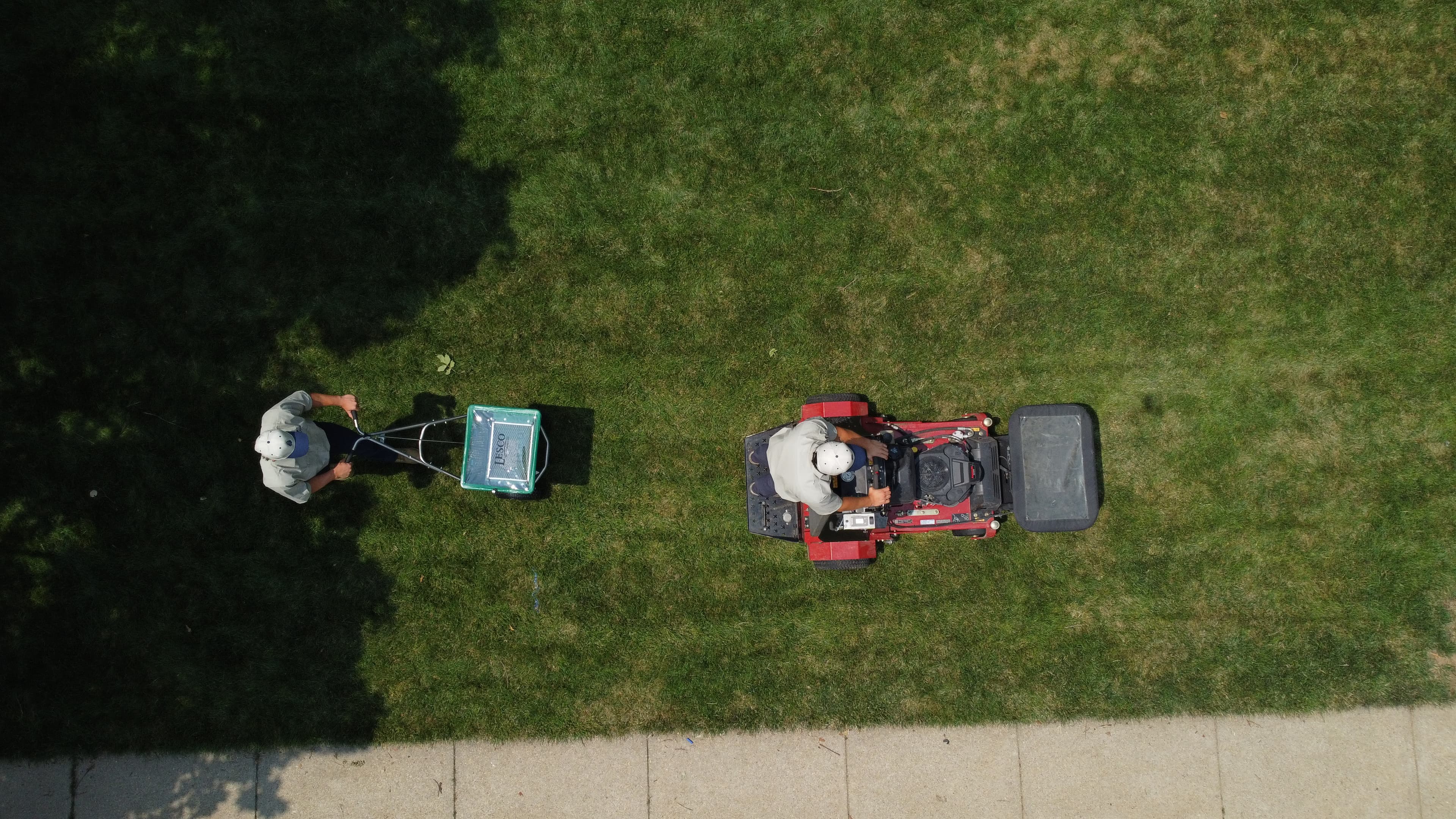 How Shade and Tree Cover Affect Lawn Performance in Omaha