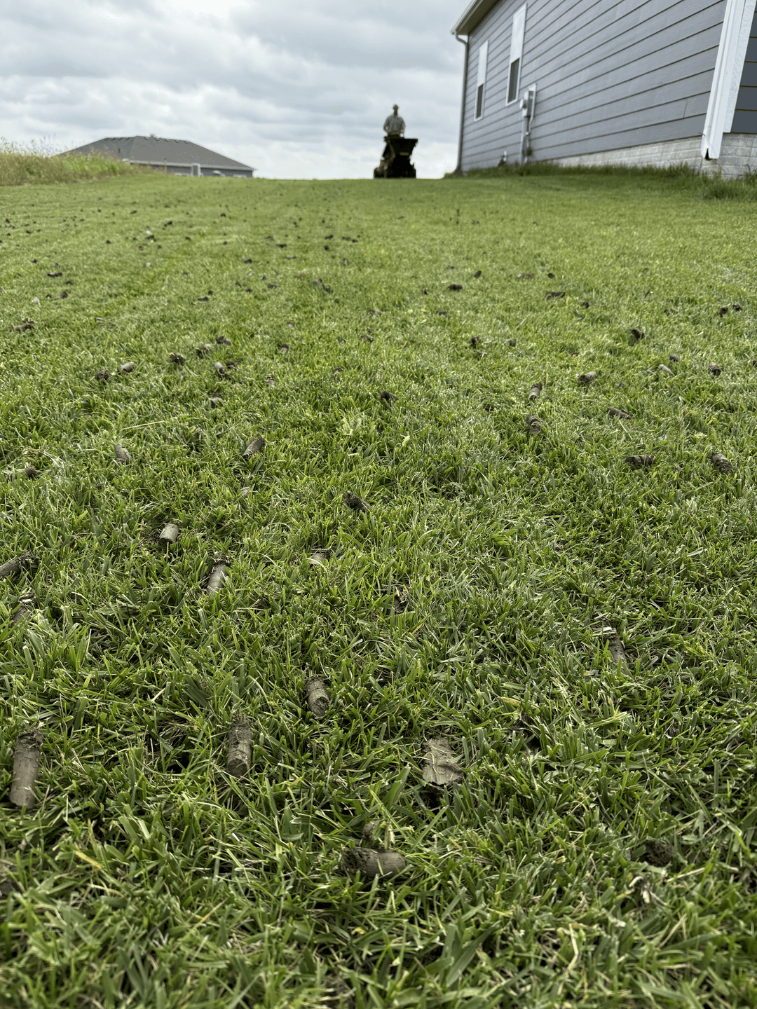 How Pet Traffic Shows Up in Omaha Lawns as Spring Begins