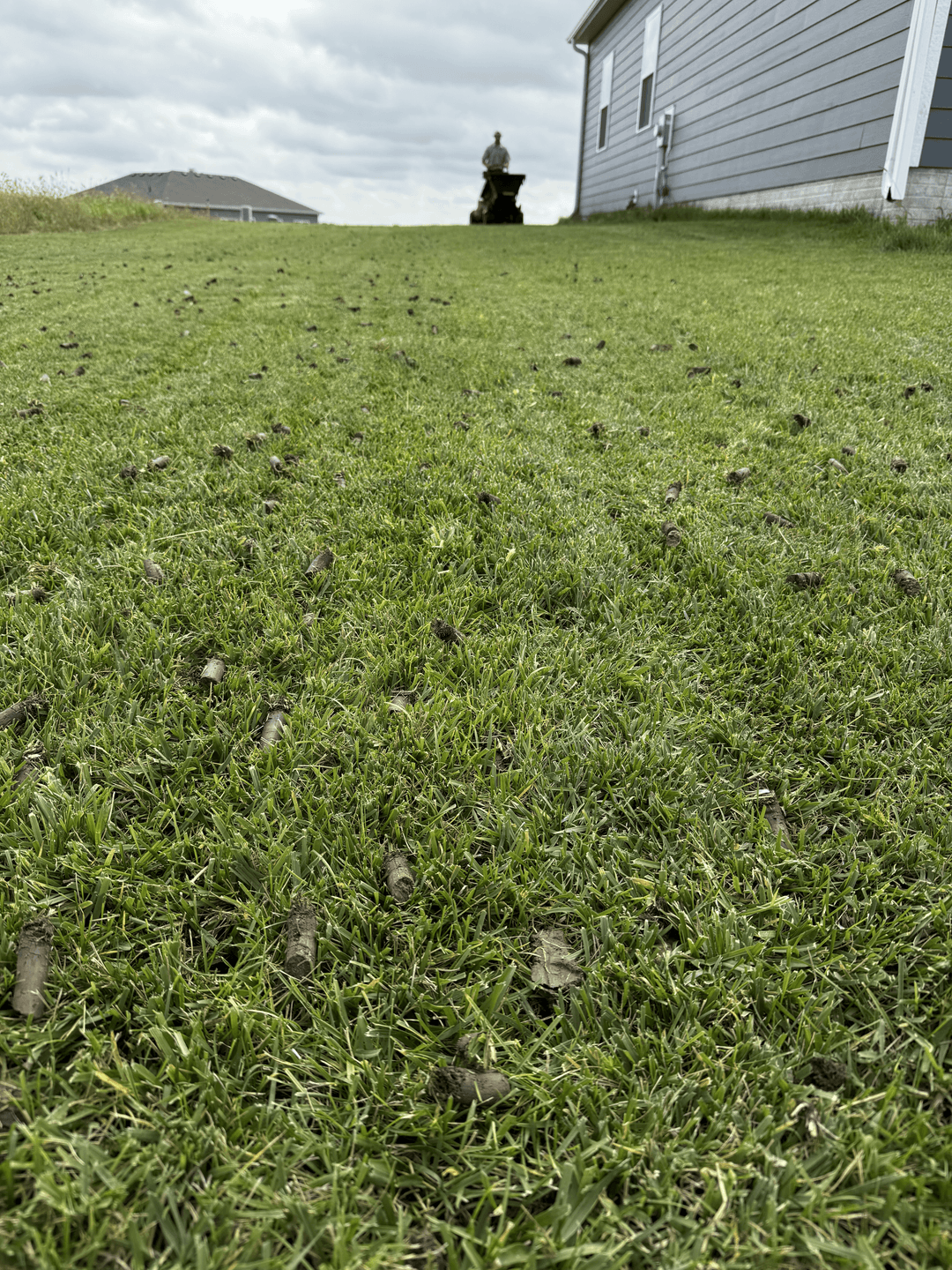 How Pet Traffic Shows Up in Omaha Lawns as Spring Begins