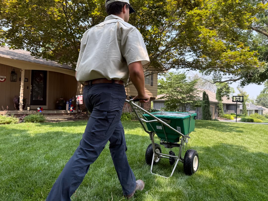 How a Planned Fertilization Program Improves Lawn Health in Omaha