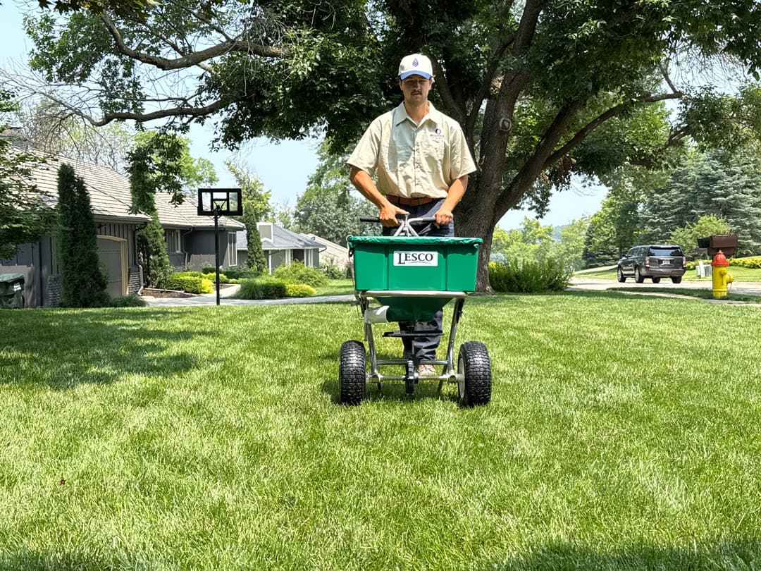 Why Lawn Fertilizer Works Differently in April Than Early Spring