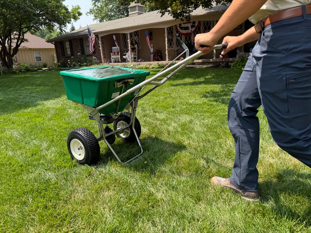 The Role of Early Spring Fertilizer in Building Strong Roots