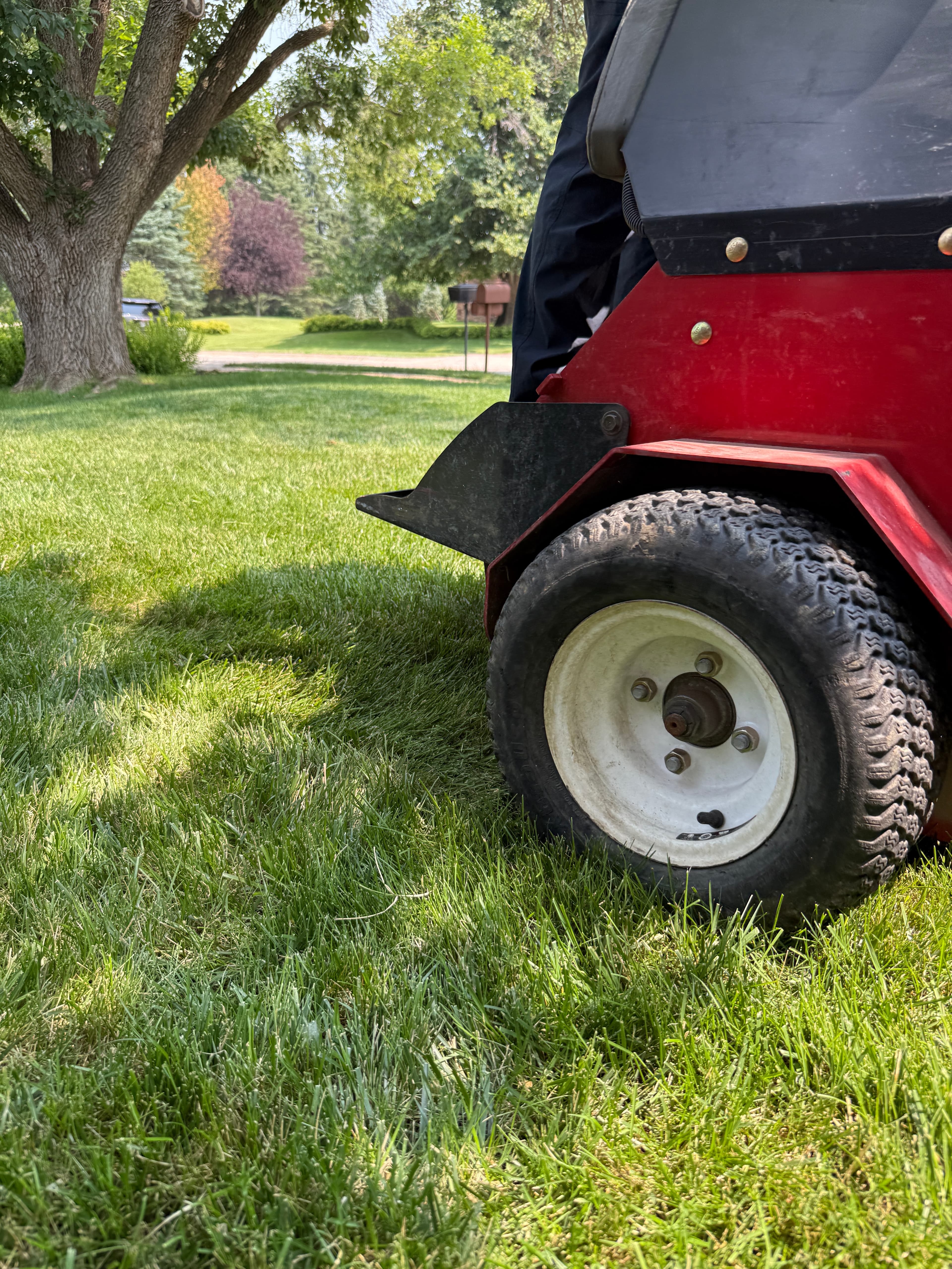 How Mowing Height in Early Spring Affects Lawn Thickness All Season