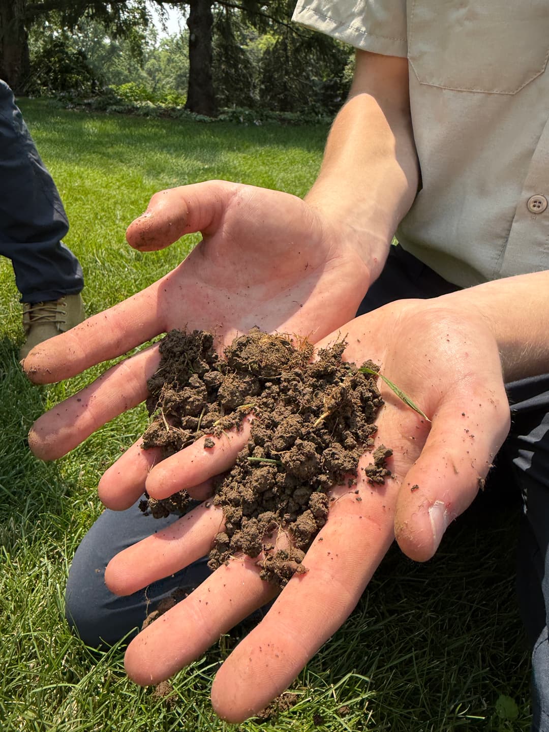 How Soil Temperature Signals the Real Start of Lawn Growth in Omaha