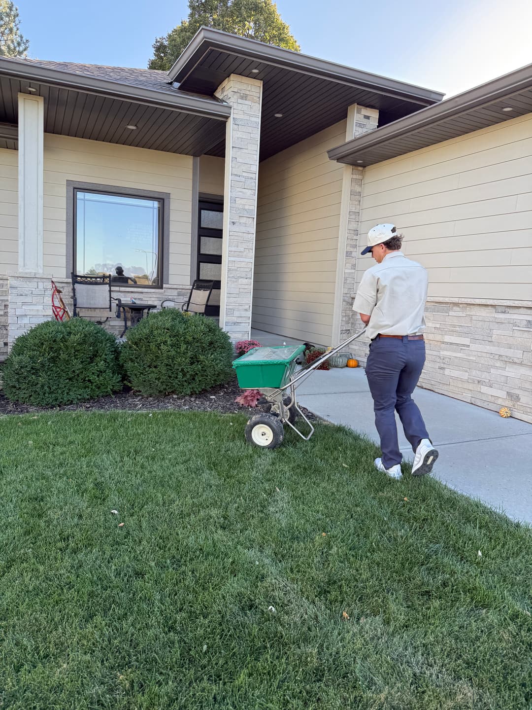 How Spring Lawn Density Is Built in April Not Summer